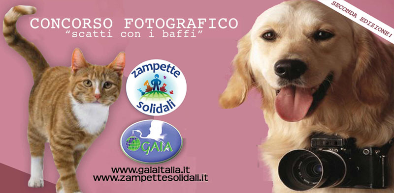 scatti con i baffi banner